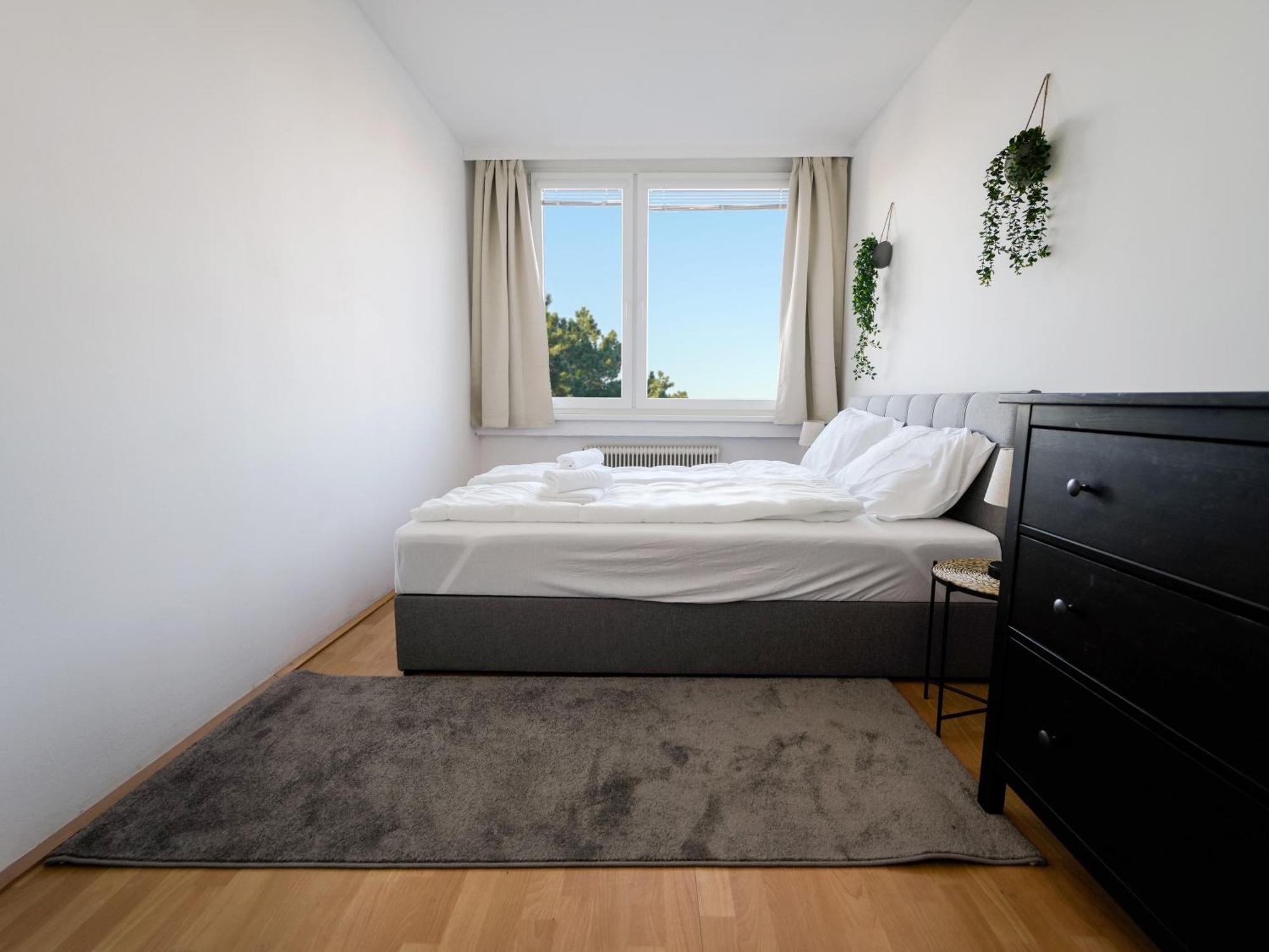 ווינר נוישטאדט Spacious Apartments With View & Free Parking מראה חיצוני תמונה