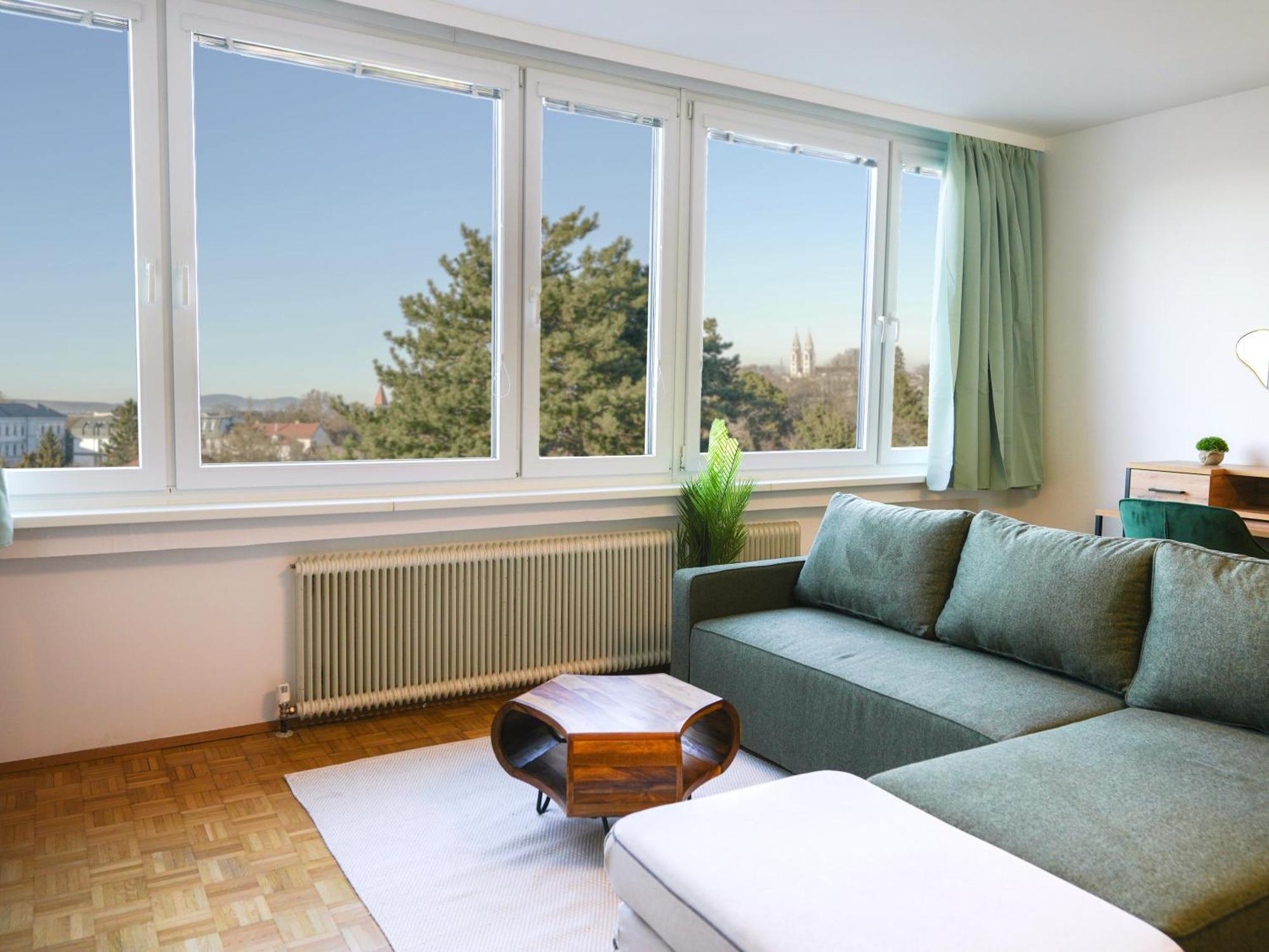 ווינר נוישטאדט Spacious Apartments With View & Free Parking מראה חיצוני תמונה